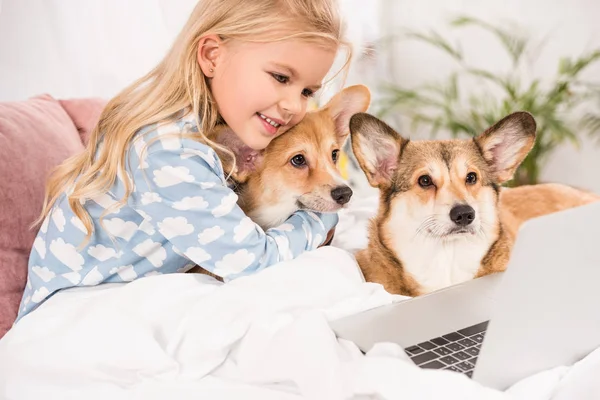 Criança Sorridente Deitada Cama Com Cães Corgi Olhando Para Laptop — Fotografia de Stock