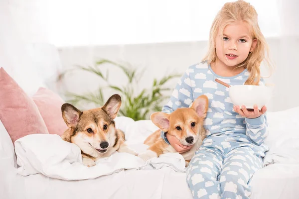 Мила Дитина Сидить Ліжку Пемброке Валлійських Коргі Собак Тримає Миску — стокове фото