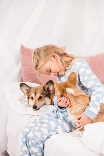 Adorable Child Sitting Bed Pembroke Welsh Corgi Dogs Home — Stock Photo, Image