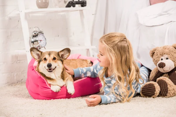 Adorable Child Pajamas Stroking Welsh Corgi Dog Home — Stock Photo, Image