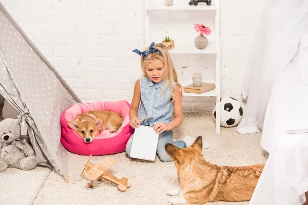 Bonito Criança Sentado Com Galês Corgi Cães Casa Enquanto Segurando — Fotografia de Stock