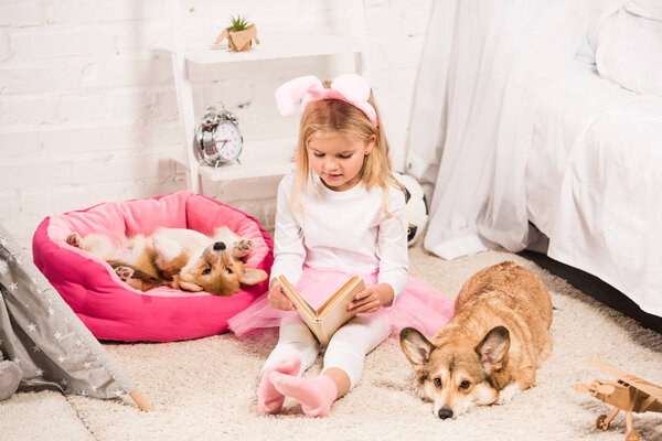 очаровательный ребенок в кроличьи уши ободок сидя с валлийскими корги собак дома и чтение книги
 