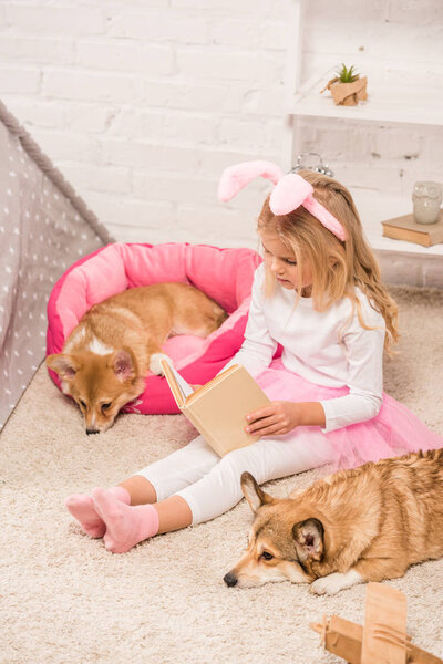 милый ребенок в кроличьи уши ободок сидя с валлийскими корги собак дома и чтение книги
 