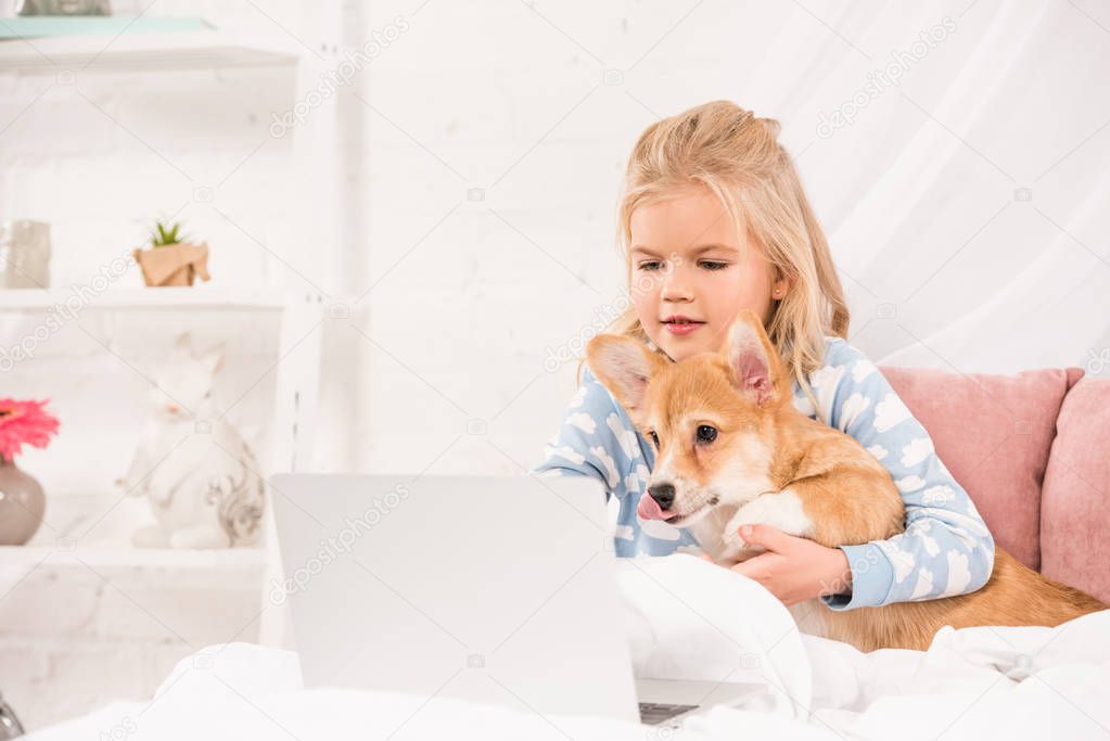 cute child lying in bed with corgi dog and using laptop at home
