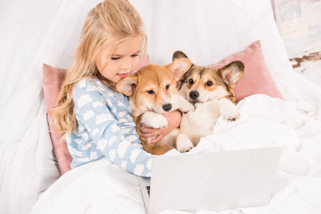 child lying in bed, hugging corgi dogs and using laptop at home