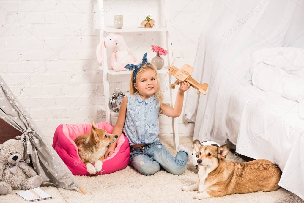 child sitting at home with welsh corgi dogs and playing with wooden plane model