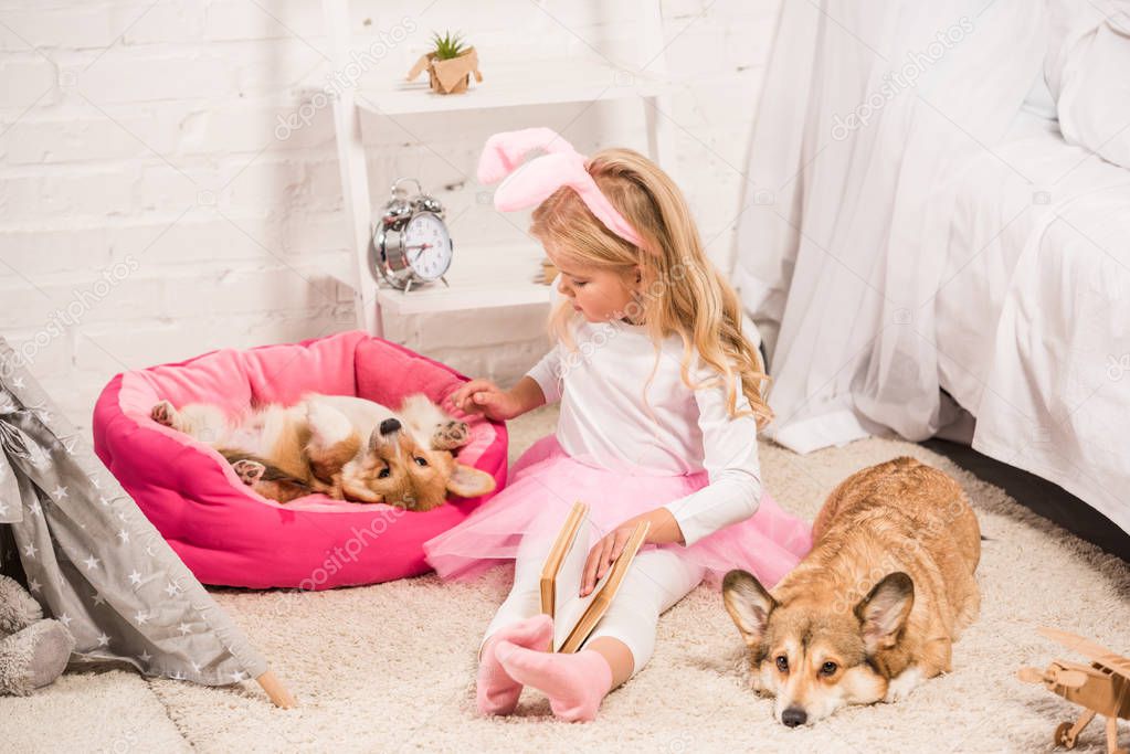 child with bunny ears headband and book stroking welsh corgi dogs at home 