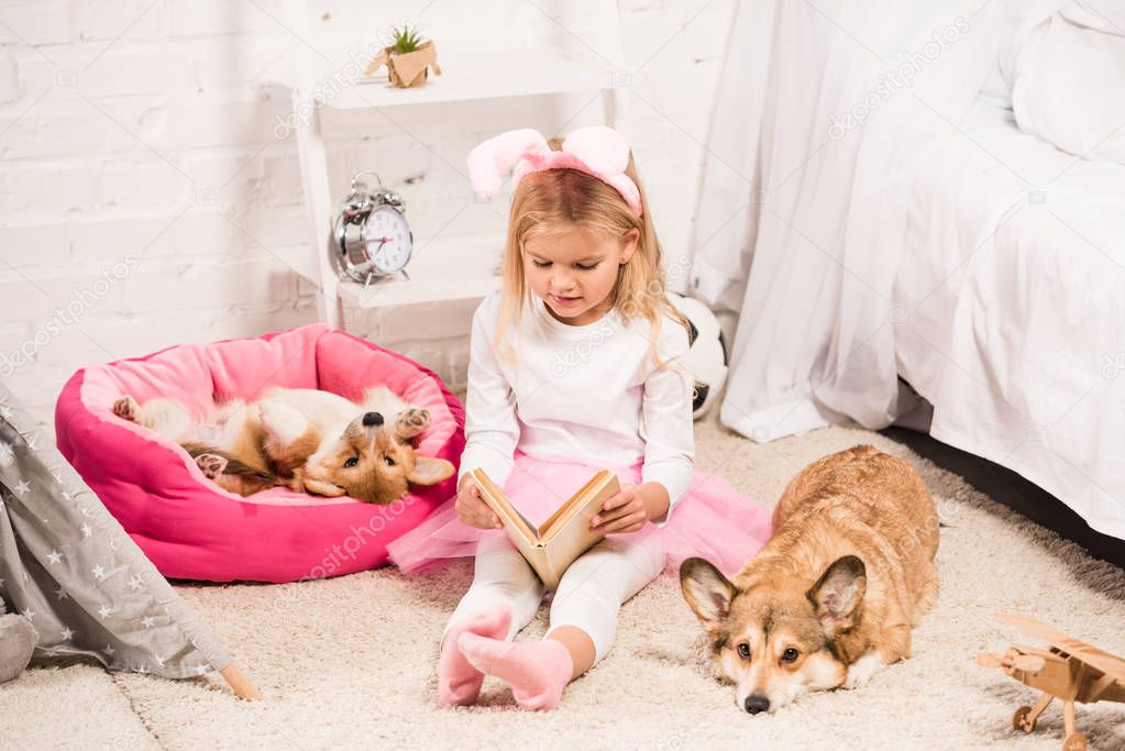 adorable child in bunny ears headband sitting with welsh corgi dogs at home and reading book 