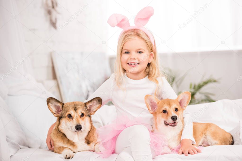 cute child in bunny ears headband sitting with welsh corgi dogs on bed at home 