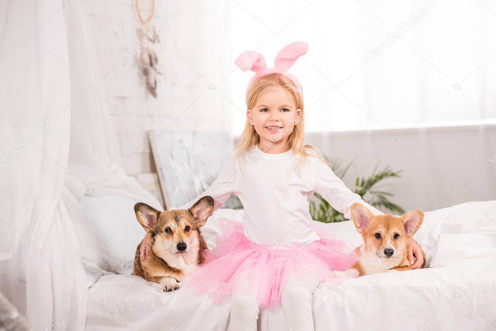 smiling child in bunny ears headband sitting with welsh corgi dogs on bed at home 