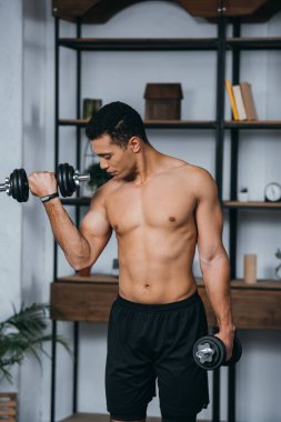 bı-ırkçı adam kaslara ev jimnastik salonu içinde ağır dumbbells ile egzersiz yaparken bakan 