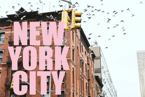 urban scene with birds flying over buildings with pink "new york city" lettering in New york, usa
