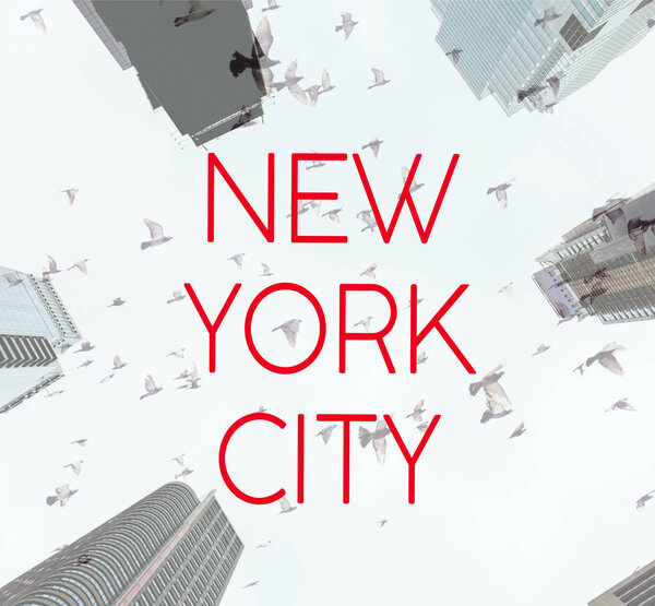 вид снизу на небоскребы и птиц в небе с красной надписью "Нью-Йорк", сша
