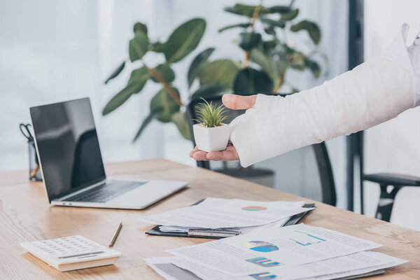cropped view of worker with broken arm holding small plant pot over table with documents in office, compensation concept
