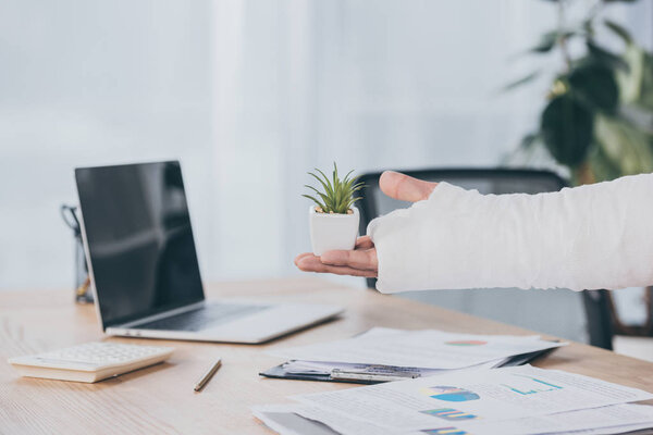 cropped view of man with broken arm holding small plant pot over table with documents on background in office, compensation concept