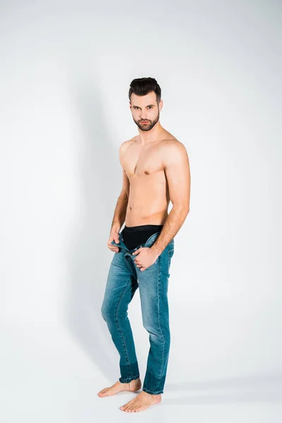 Handsome Bearded Man Jeans Posing Grey — Stock Photo, Image