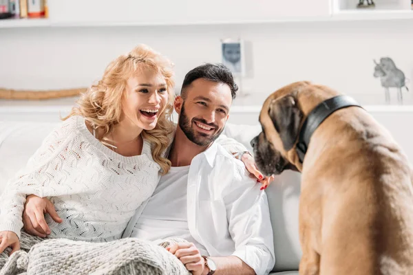 Excited Couple Looking Dog Sincere Smile — Stock Photo, Image