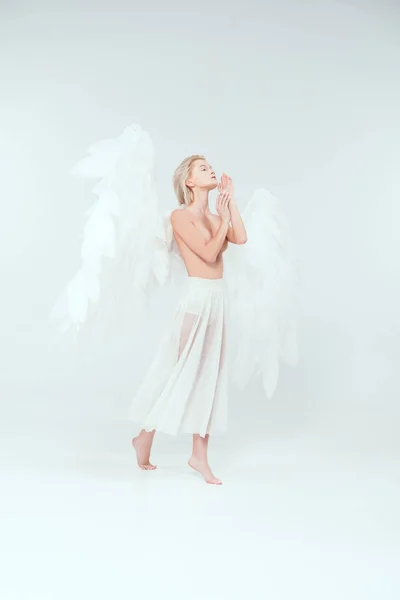 Piękna Kobieta Przetargu Angel Wings Gestykulacji Rękami Białym Tle Pozowanie — Zdjęcie stockowe