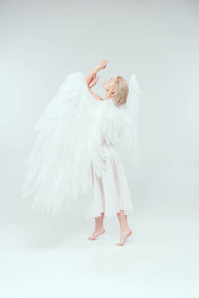 beautiful tender woman with angel wings gesturing with hands and posing on white background