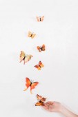 oříznutý pohled ženy uvolňuje oranžové motýlů na bílém pozadí, ekologické ukládání konceptu 