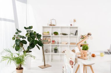 yeşil bitkiler ve modern Ofis Masası ile çalışma 