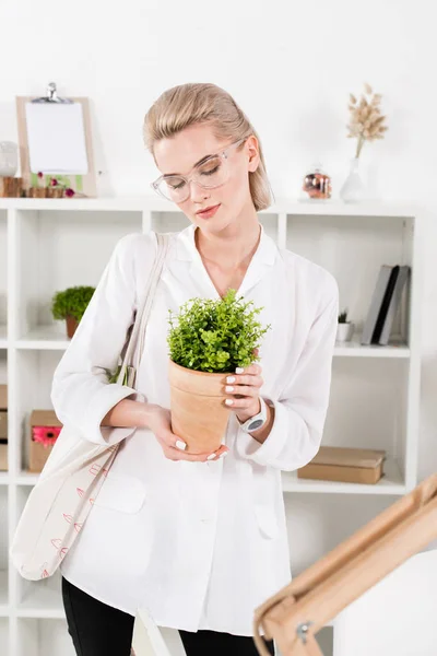Attractive Businesswoman Glasses Holding Green Plant Office Environmental Saving Concept — Stock Photo, Image