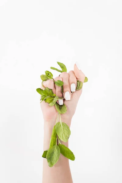 Mano Femenina Sosteniendo Hojas Menta Verde Aisladas Blanco Concepto Ahorro — Foto de Stock