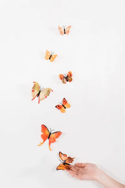 cropped view of woman releasing orange butterflies on white background, environmental saving concept