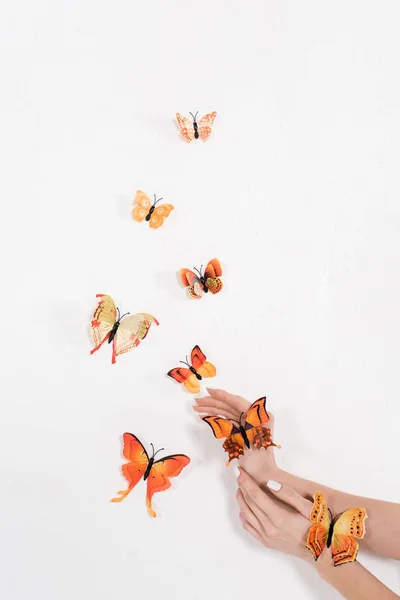 Vista Recortada Mujer Cerca Mariposas Anaranjadas Sobre Fondo Blanco Concepto — Foto de Stock