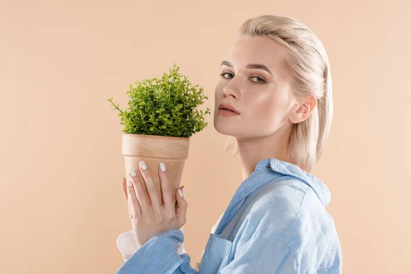 Atractiva Chica Sosteniendo Olla Con Planta Mirando Cámara Aislada Beige — Foto de Stock