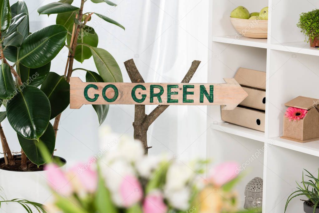selective focus of wooden sign with go green lettering near plants in office, environmental saving concept 