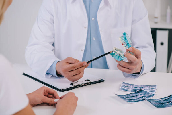 обрезанный вид ортодонта, указывающий на модель челюсти во время консультации с женщиной в клинике
