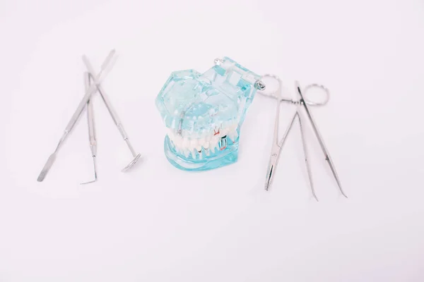 Modelo Mandíbula Instrumentos Dentales Aislados Blanco —  Fotos de Stock