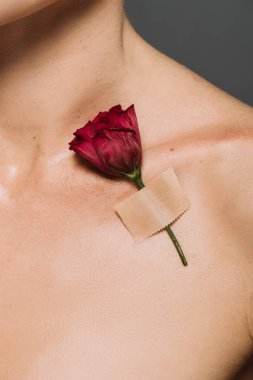 Kırmızı çiçekli kadın kısmi görünümü gri izole vücudunda