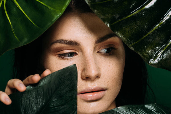 young woman with freckles on face posing with tropical leaves isolated on green