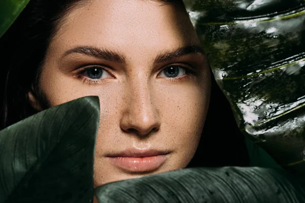 Belle Fille Avec Des Taches Rousseur Posant Avec Des Feuilles — Photo