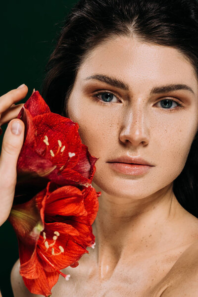 attractive young woman with freckles on face posing with red amaryllis flowers, isolated on green