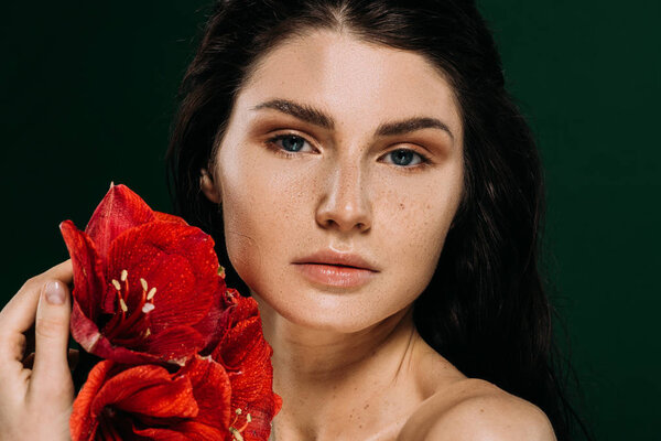 beautiful woman with freckles on face posing with red amaryllis flowers, isolated on green
