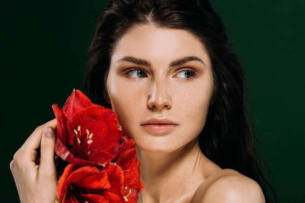 attractive girl with freckles on face posing with red amaryllis flowers, isolated on green