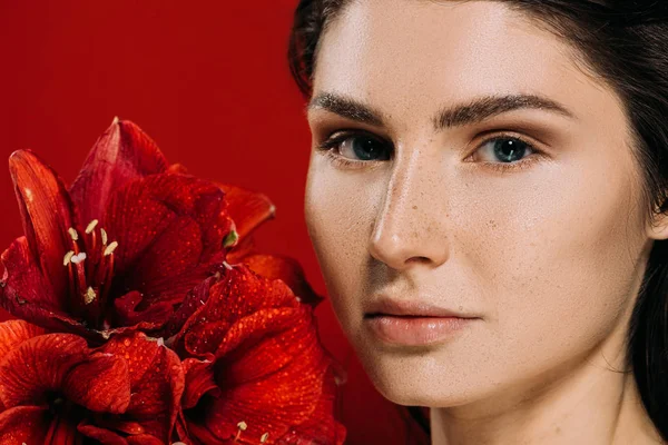 Bela Mulher Com Sardas Rosto Segurando Flores Amaryllis Isolado Vermelho — Fotografia de Stock