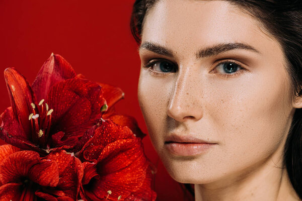 beautiful woman with freckles on face holding amaryllis flowers, isolated on red