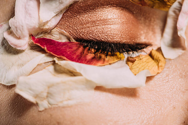 close up of girl with petals and makeup on closed eye 