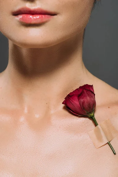 Vista Ritagliata Donna Con Fiore Eustoma Rosso Sul Corpo Isolato — Foto Stock
