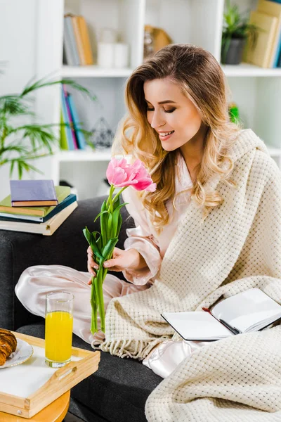 Romantic Girl Knitted Plaid Sniffing Pink Flowers Home — Stock Photo, Image