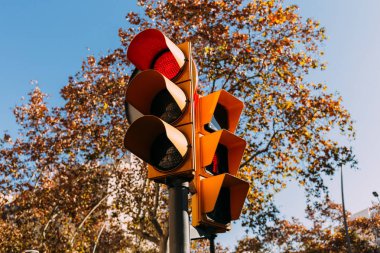 traffic light with red signal, green trees and clear blue sky on background, barcelona, spain clipart