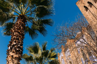 yeşil ile kentsel sahne palmiye ağaçları ve eski çok renkli bina, barcelona, İspanya
