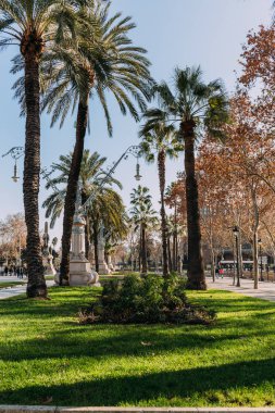 BARCELONA, SPAIN - DECEMBER 28, 2018: beautiful Parc de la Ciutadella with tall green palm trees clipart