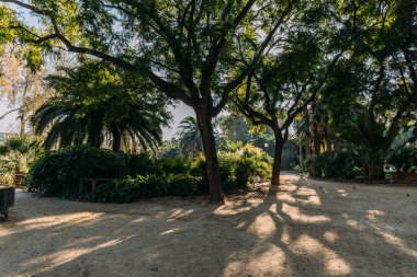 green trees and walking paths in parc de la ciutadella, barcelona, spain clipart
