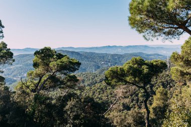 scenic view of green trees and hills covered with forest, barcelona, spain clipart