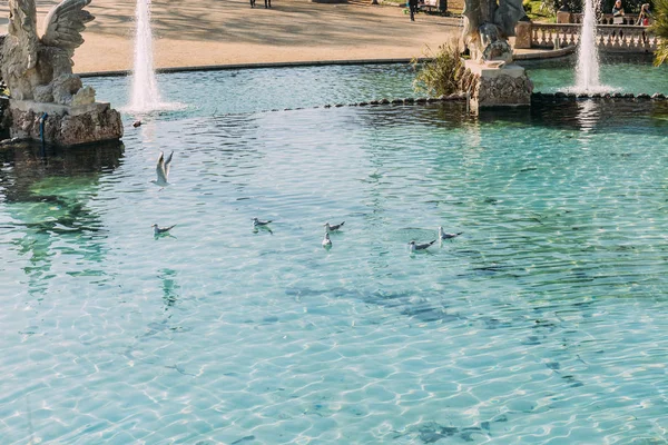 Barcelone Espagne Décembre 2018 Beau Lac Avec Fontaines Sculptures Dans — Photo